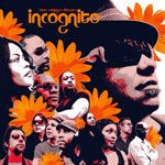 Incognito: Bees + Things + Flowers
